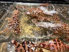 -诱货海鲜自助火锅(爱琴海购物公园东百店)