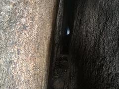-六里坪国家森林公园