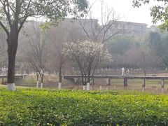 -沐仙湖湿地公园