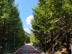 -芦芽山旅游度假区
