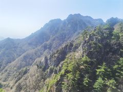 -王顺山国家森林公园