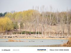 -南海子公园