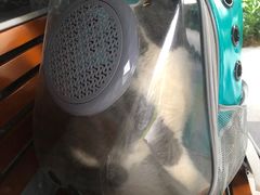 -瑞派紫金宠物医院24小时·骨科·中兽医·重症转诊中心(番禺大石院)