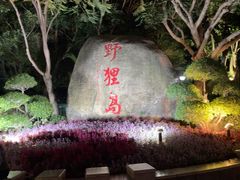-野狸岛