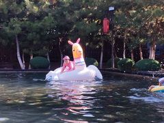 -东方华地城湿地温泉度假区