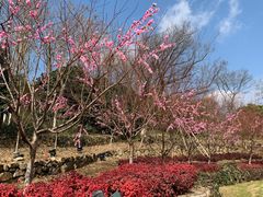 -茅山东方盐湖城景区