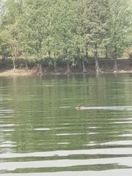 -剑鱼皮划艇俱乐部(石湖基地)