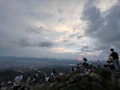 -长虫山生态公园风景林