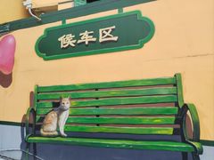 -霏梵印象公园摄影基地