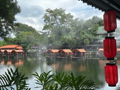 -侨美·唐荔园·40年地道粤菜