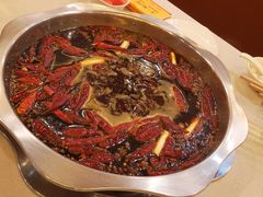 红汤大锅-王少龙火锅(五小区店)