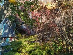 -郑州方特梦幻王国