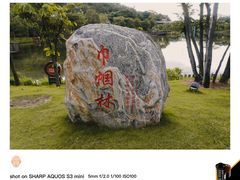 -王借岗森林公园