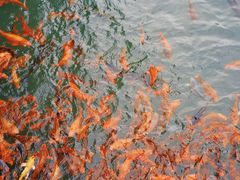 -楠溪江风景名胜区