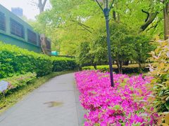 -徐家汇源景区-衡山公园