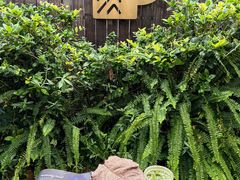 -Peet's Coffee皮爷咖啡(大学路店)