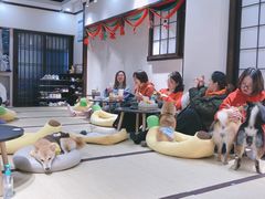 -逗柴咖啡屋·狗咖猫咖宠物桌游