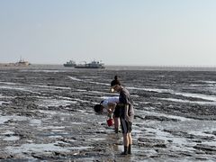 -平湖九龙山旅游度假区