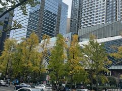 -合景·悠方(成都店)