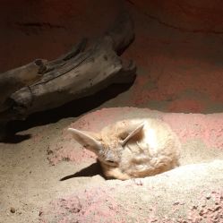 -酷嗒动物文化乐园(cutezoo西溪乐天城店)