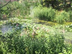 -武汉紫薇都市田园