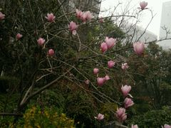 -苏州香山国际大酒店