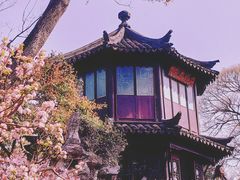 -拙政园
