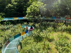 -十渡东湖港风景区