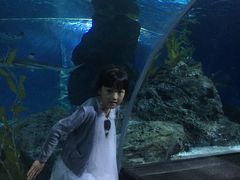 -暹罗海洋世界