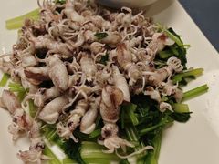 鲜鱿管-福建美食城(老君堂店)