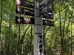 -潜山国家森林公园
