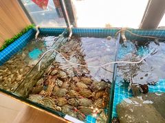 -渡海小渔村.老辈日照菜