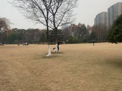 -杭州城北体育公园