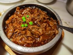 -佬肥猫(国华广场店)