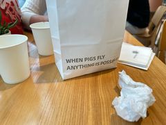 -WHEN PIGS FLY当猪飞