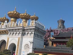 -上海东林寺(金山区)