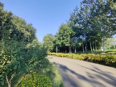 -永定河休闲森林公园