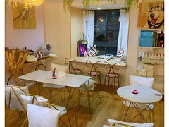 -Husky Go! 哈士奇体验馆·宠物咖啡厅狗咖