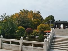 -梅园
