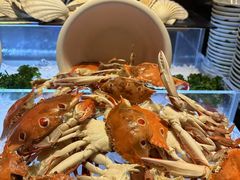 -广州富力君悦大酒店·凯菲厅