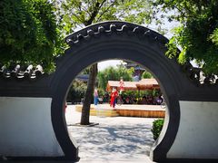 -吴桥杂技大世界