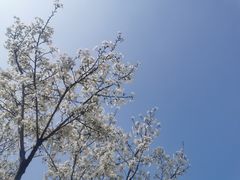 -天鹅湖体育公园