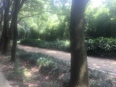 -同里国家湿地公园