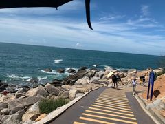 -广东惠东海龟国家级自然保护区