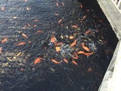 -水上乐园·欢乐世界