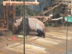 -深圳野生动物园