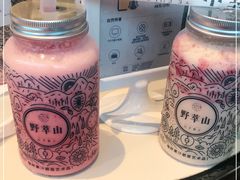 -野萃山·潮汕厚果汁(十亩地店)