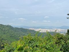 -广州市白云山风景名胜区