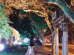 -COS(月星环球港店)