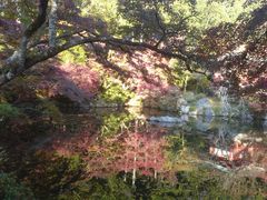 -醍醐寺